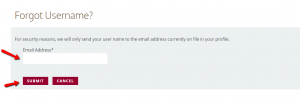 forgot_3_username